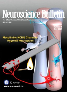 中国神经科学杂志