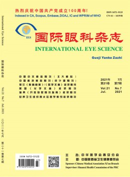 美中国际眼科杂志