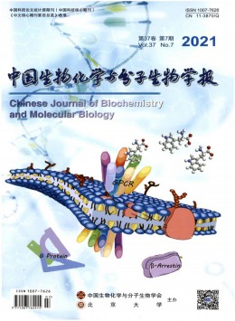 生物化学杂志