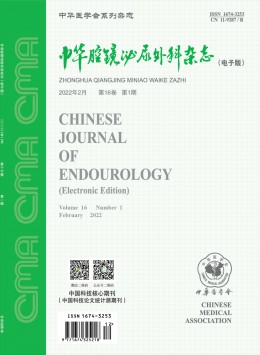 中华腔镜泌尿外科 · 电子版杂志
