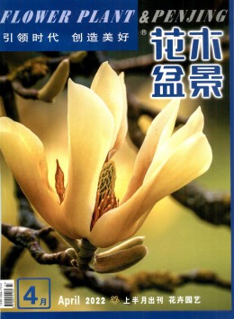 花木盆景 · 盆景赏石杂志