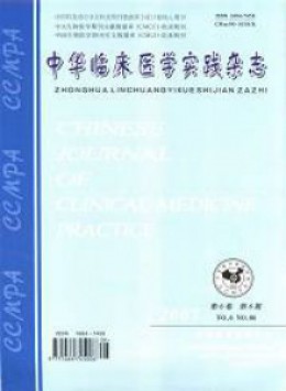 中华临床医学实践杂志