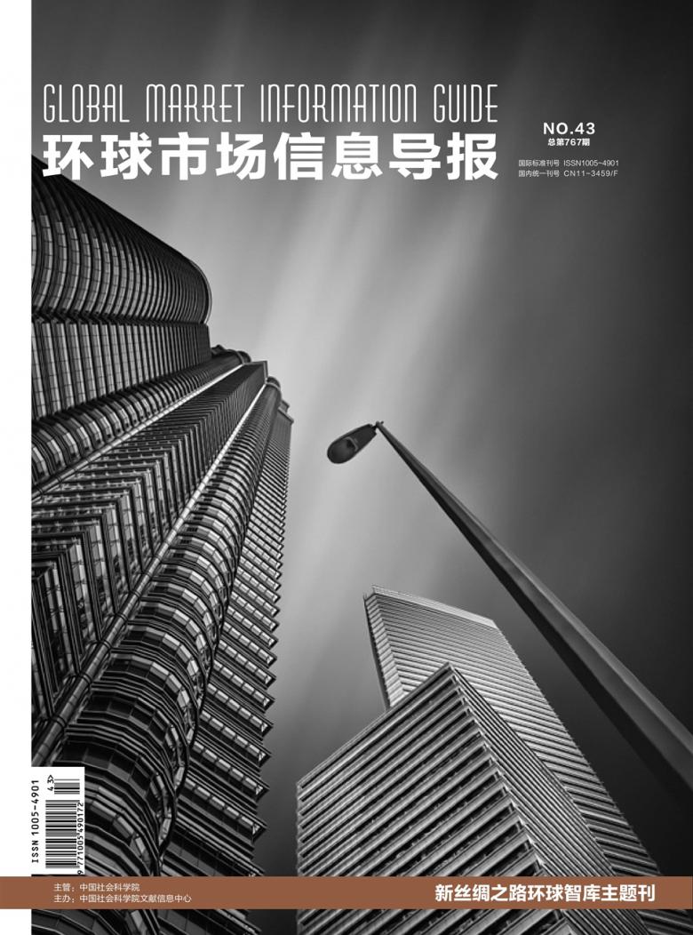 环球市场信息导报 · 理论版杂志
