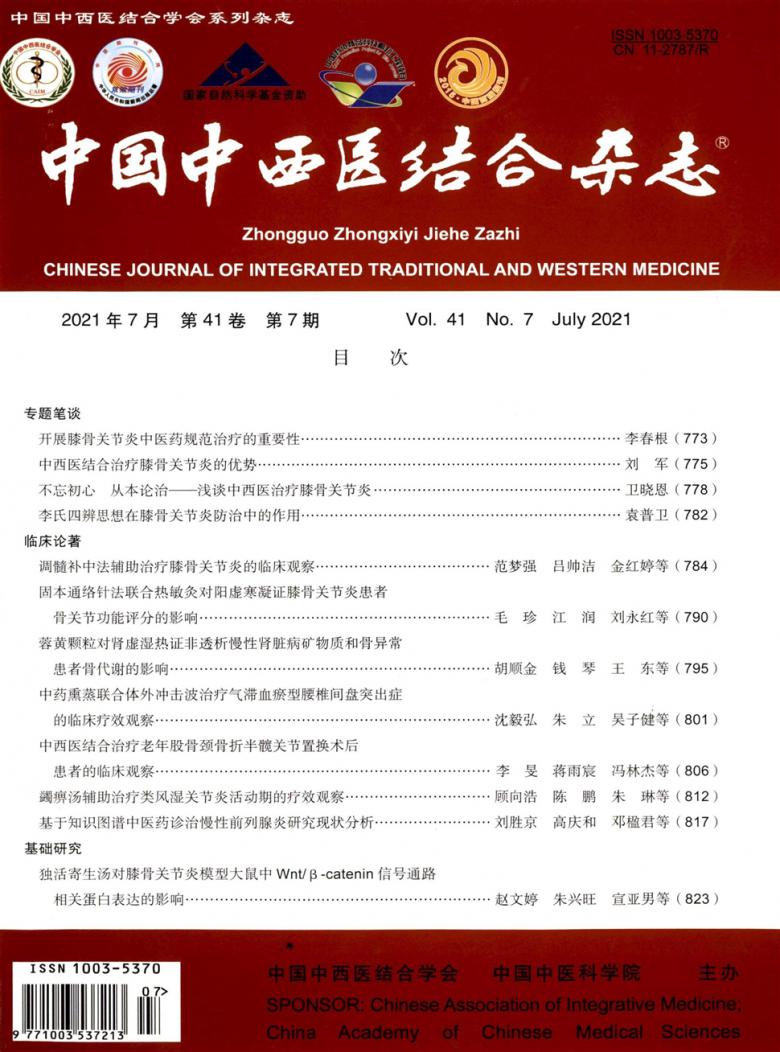 中国中西医结合 · 英文版