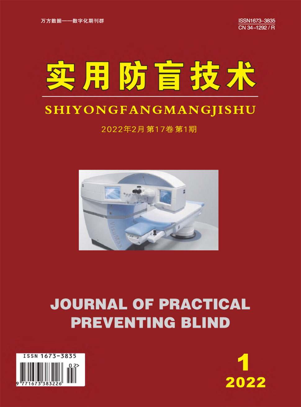 实用防盲技术杂志