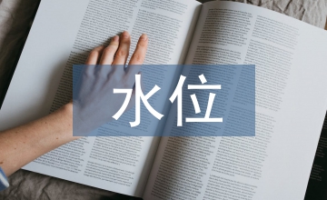 高水位下的深基坑支护方案分析