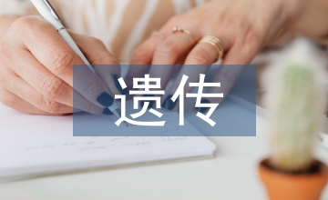 遗传学的发展阶段