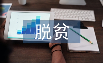 贫困村脱贫攻坚