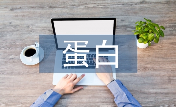 Fascin蛋白对OLP发生的作用