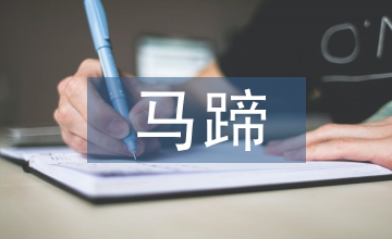 马蹄培苗密植高产栽培技术研究