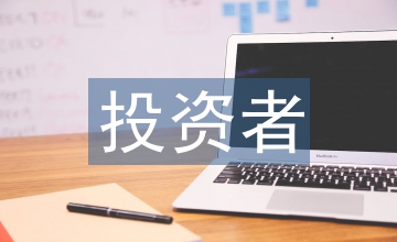 投资者论文