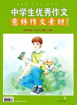 中学生优秀作文杂志