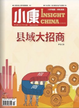 小康杂志