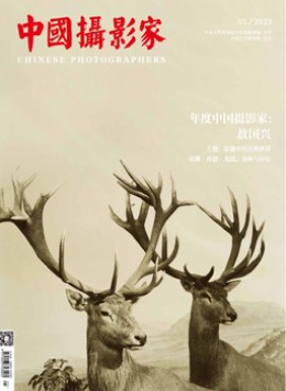 中国摄影家杂志