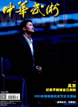 中华武术杂志