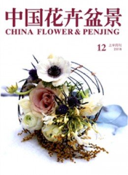 中国花卉盆景杂志