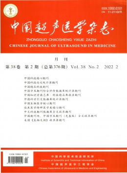 中国超声医学杂志