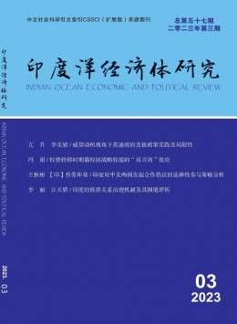 印度洋经济体研究