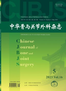  Chinese Bone and Joint Surgery