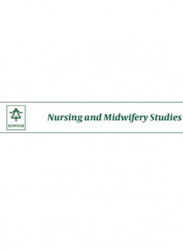 Nursing And Midwifery Studies