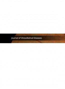 Journal Of Vitreoretinal Diseases