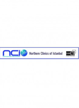 Northern Clinics Of Istanbul