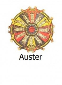 Auster