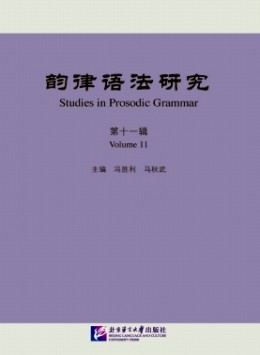 韵律语法研究