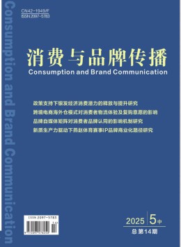 消费与品牌传播