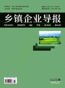 乡镇企业导报