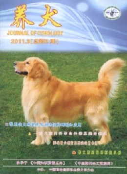 养犬